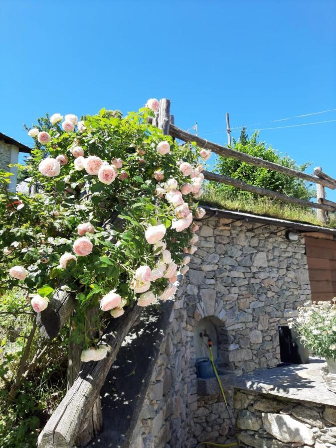 Affittacamere La Lea Roccaforte Mondovì Exteriör bild